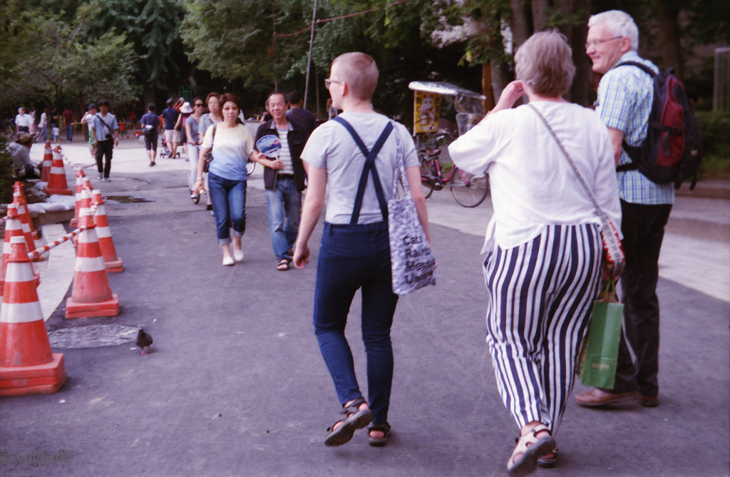 ８５年前カメラ撮影　ＮＯ３