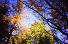 なんとなく秋空