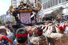 本社神輿