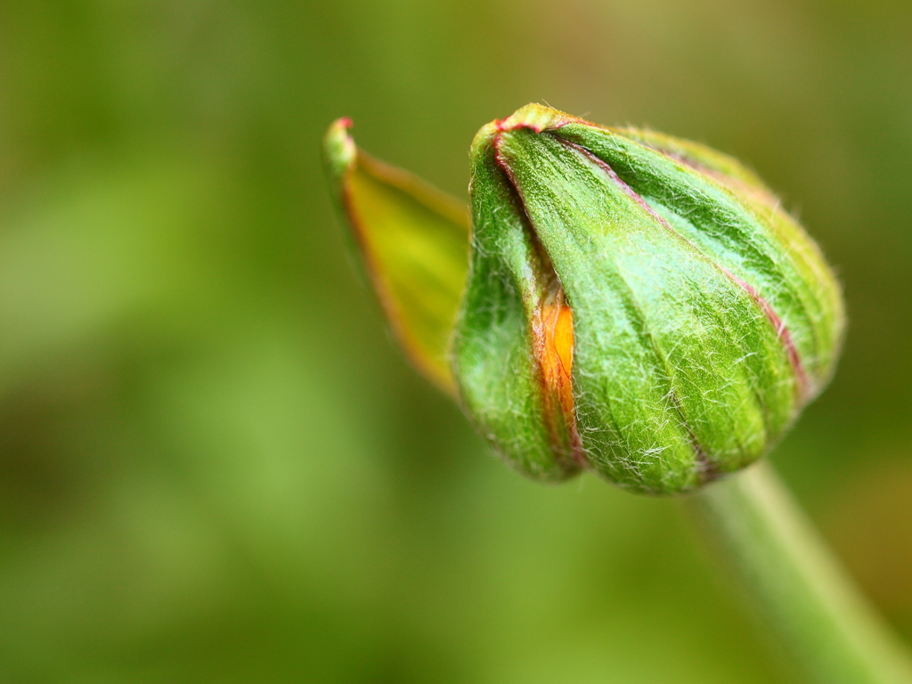 一皮剥けたあいつ