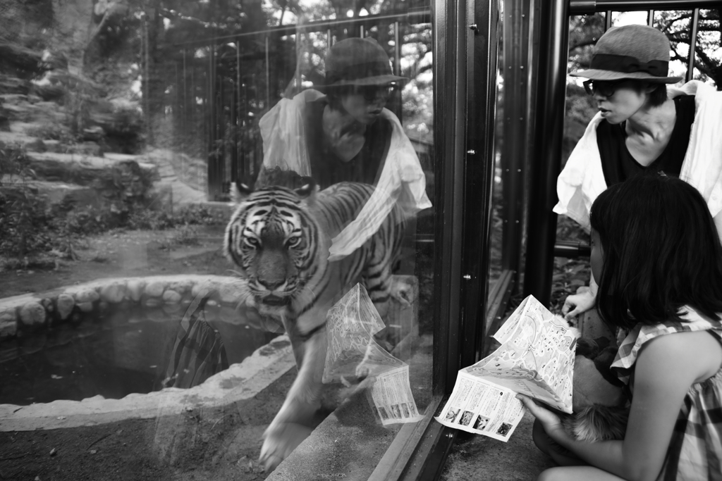 ゆきゆき風なタイガー・・・楽しい動物園