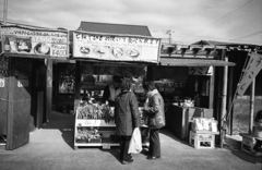 河津桜を撮りに