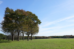 空をみて考えた