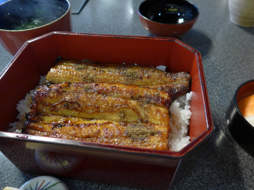 ヤバイと鰻を食う