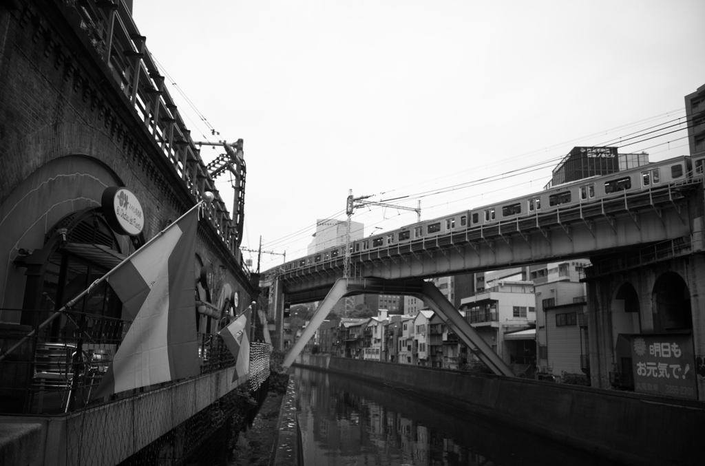 明日もお元気で