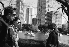 サングラスが見たもの