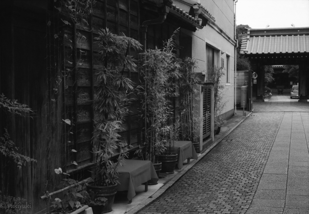 孤独な参道