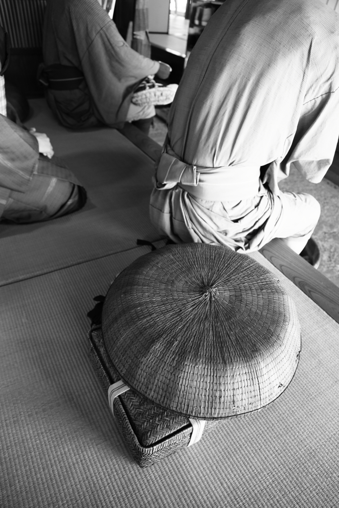 旅人は生まれ変わって、また歩き出す