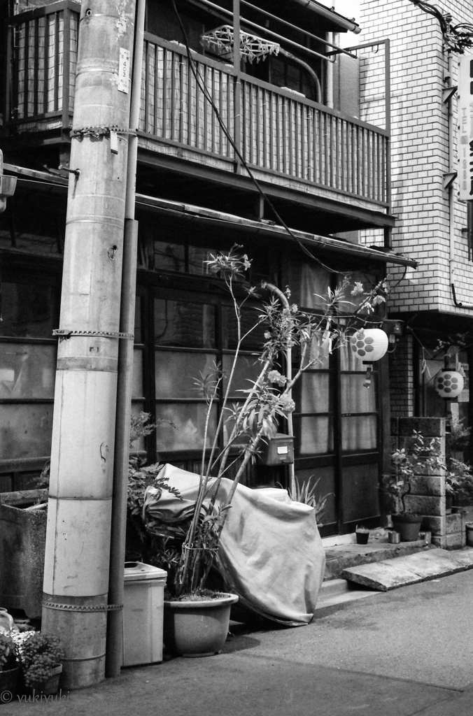 ザ・下町