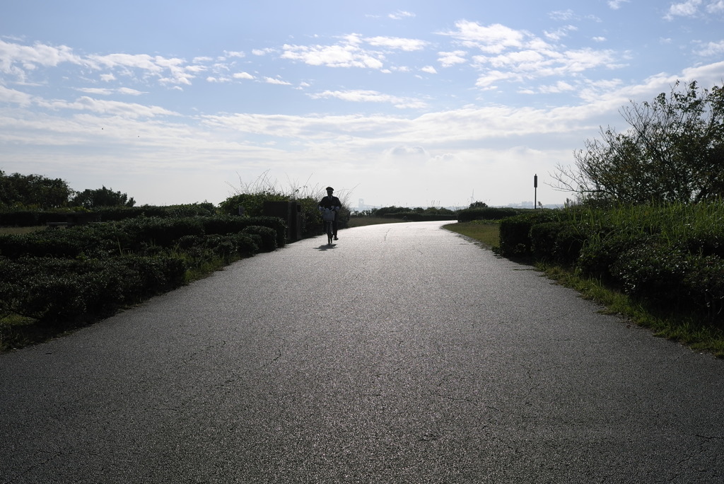 ザ・ポストマン