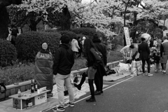 蓑虫が話した日