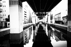昨夜の酒に泳ぐ