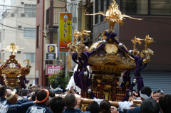 本日の神輿