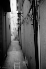 行ってみないか？あの奥へ