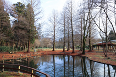 北越物語 迷い込んだ森 北越物語 迷い込んだ森