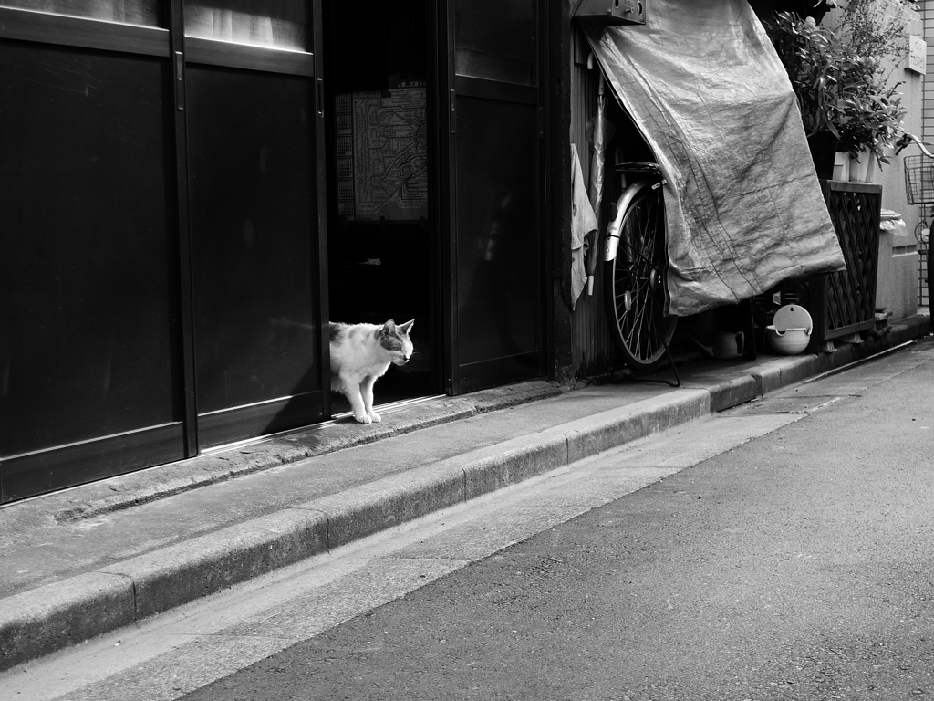 おでかけですか