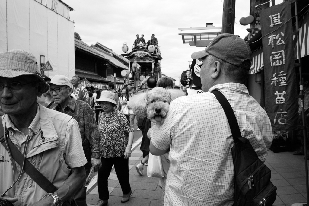 俺のこと好きかい