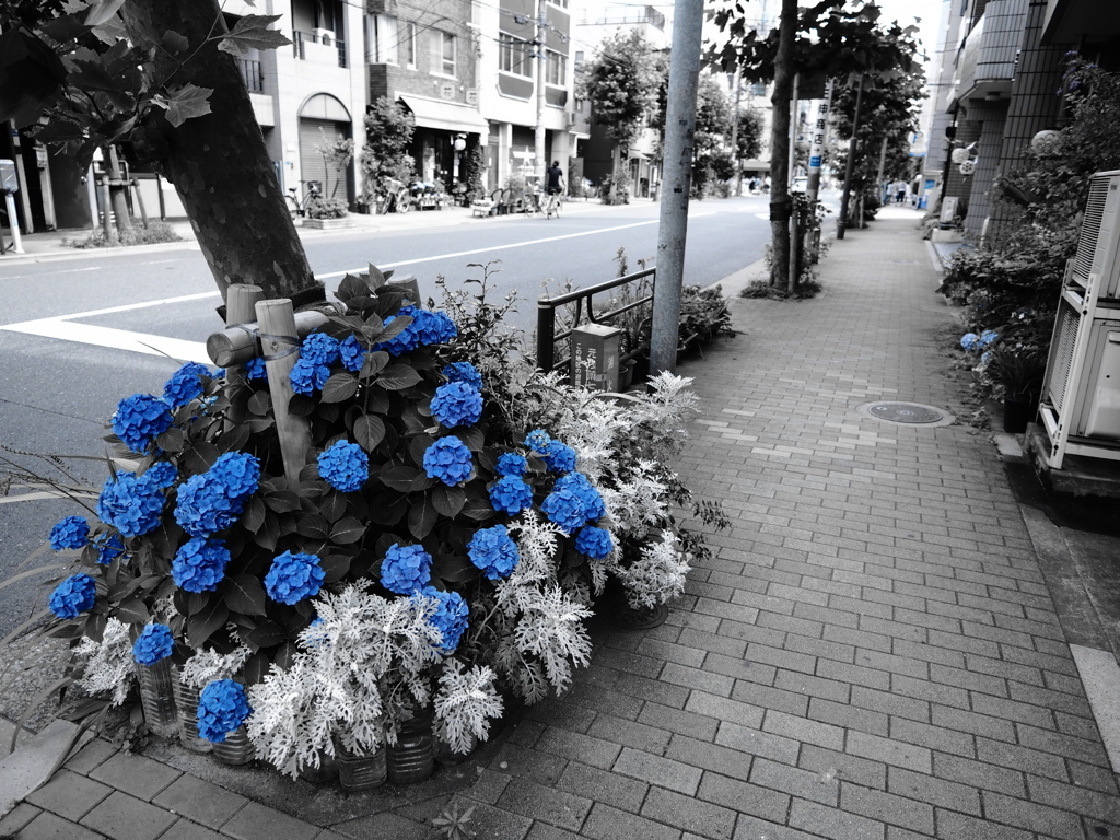 こういうのは不気味すぎた