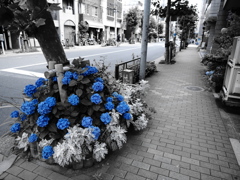 こういうのは不気味すぎた