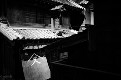 江戸をきる