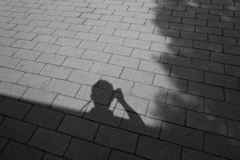 影からひょっこりと顔を出した蜘蛛