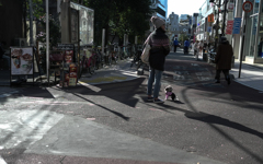 原宿の忠犬
