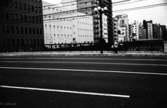 人生は橋を渡るようなものさ