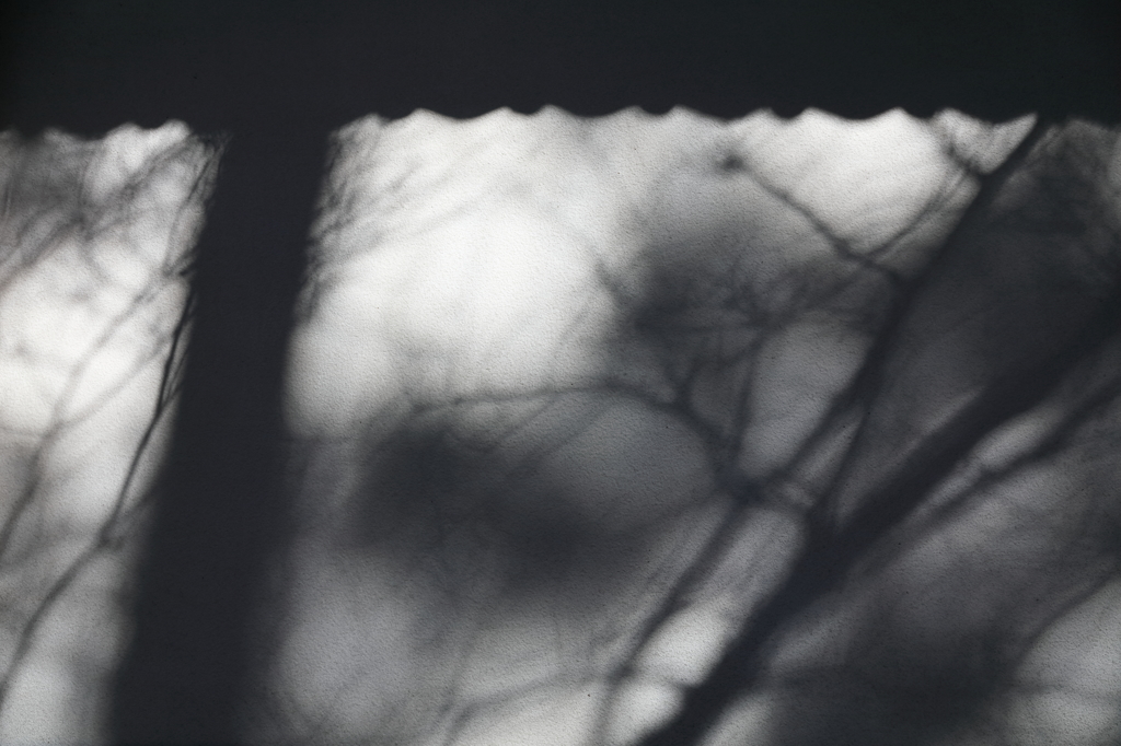 北方における影