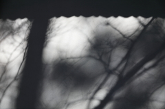 北方における影