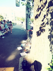 蜘蛛の日常行動　ＮＯ２