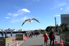 こっち来るな