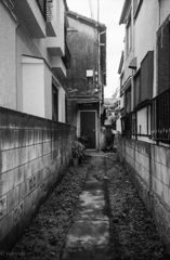 突き当りの家　谷中