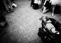 そこのけ、そこのけ