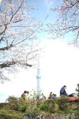 未来について