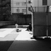 立つんだジョー