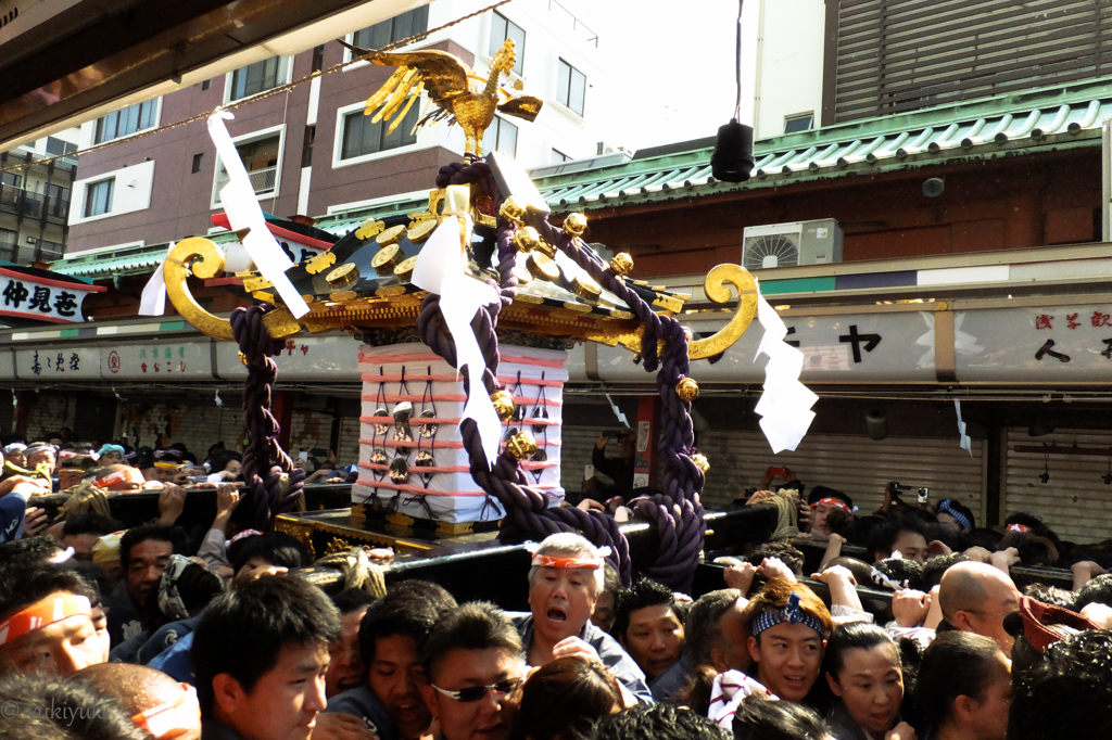 朝の散歩は宮出し　ＮＯ２