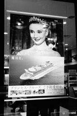 レア物　ダイヤモンドプリンセス号　ポスター