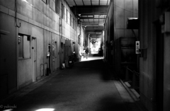 あいつの休日と俺の散歩道