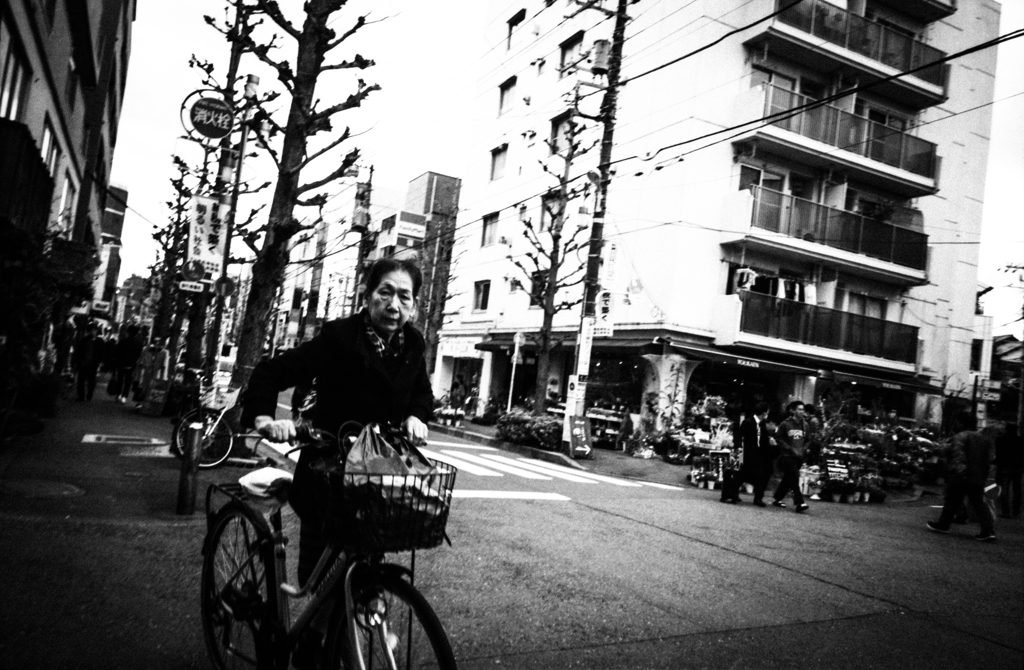 サイクリングヤッホー