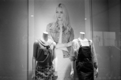 ウィンドウ　ヨコハマ