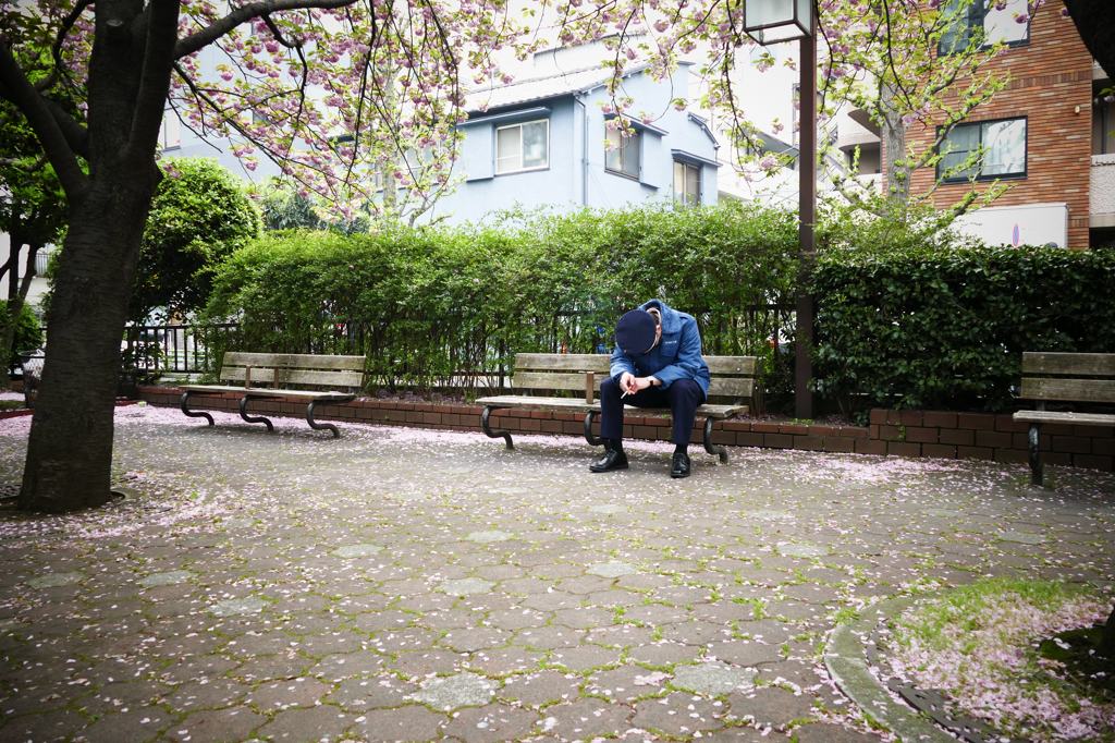 花に囲まれた昼休み・・・そして