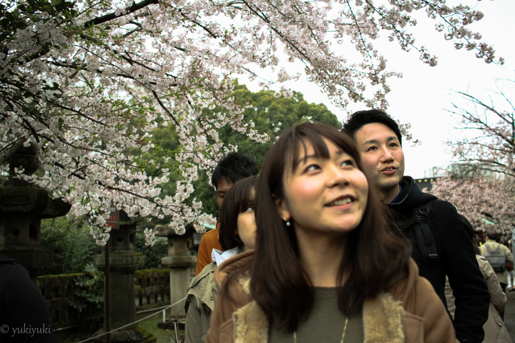 ウキウキウォッチング