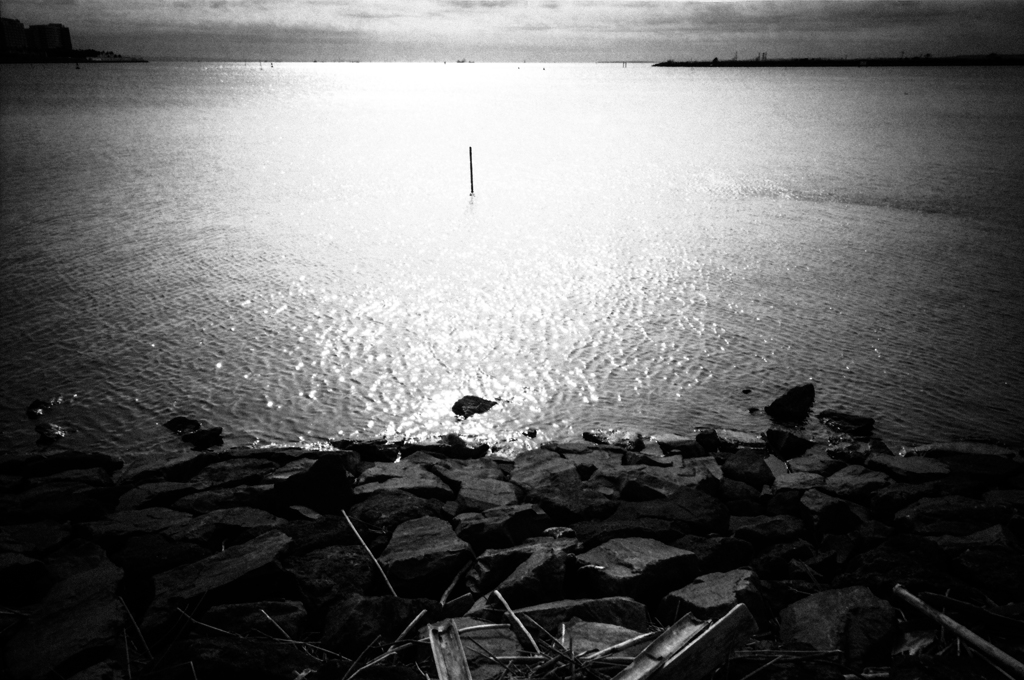 生まれて来なければ良かったなんて思う時、懐かしい海へいけ