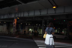 最後の信号を待って彼女はこの街を去った