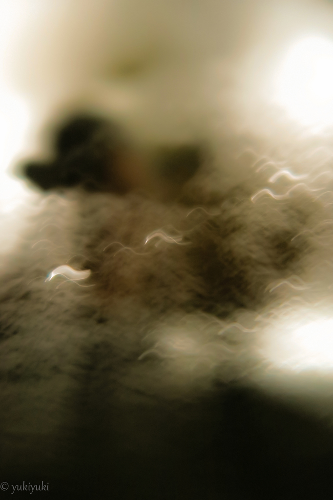 車窓アート　みみず何匹？