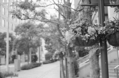 なんとなく海外