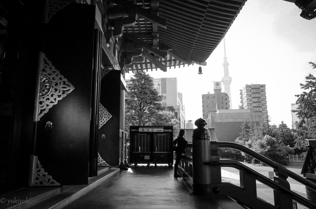 朝、彼女が祈ったこと