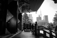 朝、彼女が祈ったこと