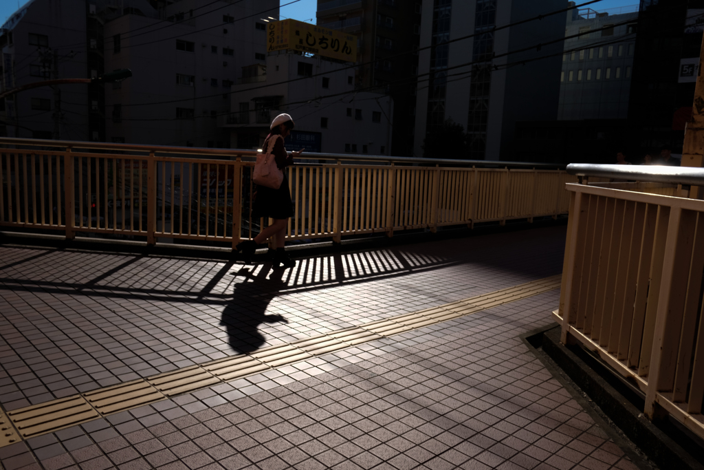 秋の歩道橋にて