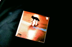 キタキツネ物語